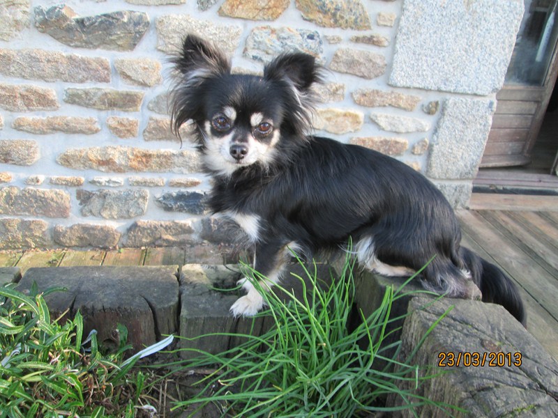 éyota du Ranch des Petits Indiens